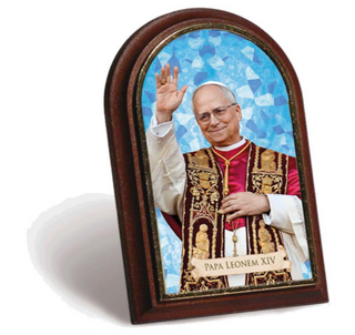 Papa leo XIV Imagen